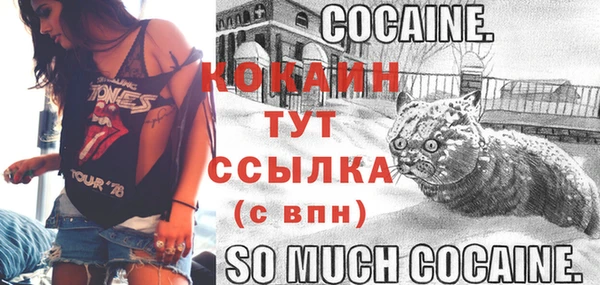 амф Абаза