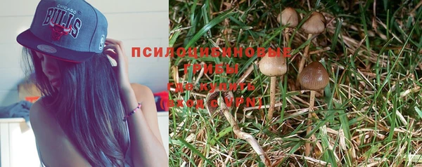 молекула духа Абинск