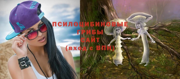 молекула духа Абинск