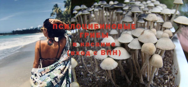 молекула духа Абинск