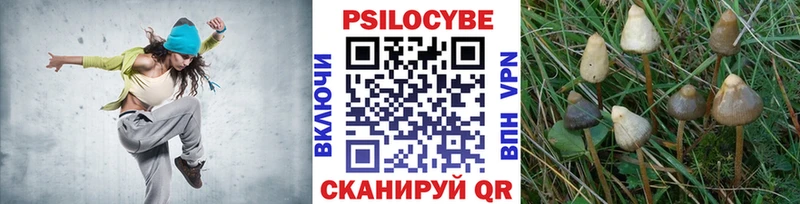 где можно купить   ссылка на мегу ссылка  Галлюциногенные грибы Magic Shrooms  Агидель 